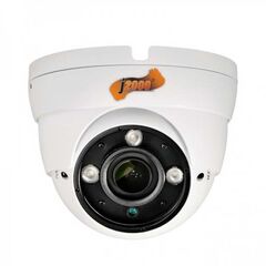 Мультиформатная камера HD J2000 MHD2Dm30 (2,8-12) L.1, фото 