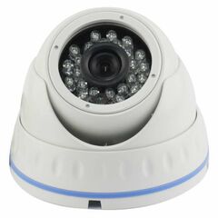 Мультиформатная камера HD AltCam DDMV21IR, фото 