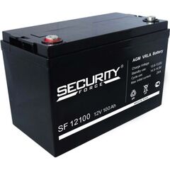Аккумулятор Security Force SF 12100, фото 