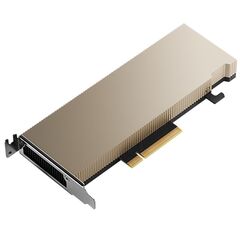 Видеокарта PNY NVIDIA A2 TCSA2M-PB, фото 