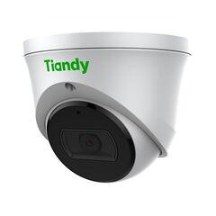 IP камера TIANDY TC-C32HN, фото 