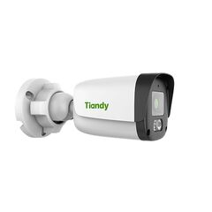 IP - камера TIANDY TC-C32QN, фото 