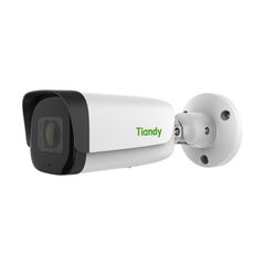 Камера-IP TIANDY TC-C32US, фото 