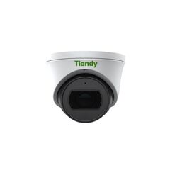 Камера-IP TIANDY TC-C35SS, фото 