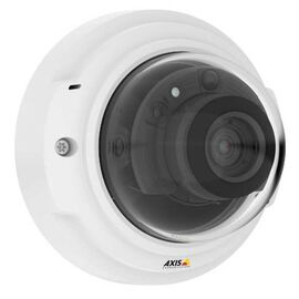 IP-камера AXIS P3374-LV RU, фото 