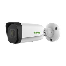 Камера-IP TIANDY TC-C32US, фото 
