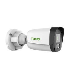 IP камера TIANDY TC-C34QN, фото 