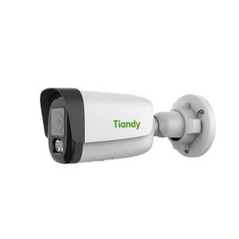 Камера-IP TIANDY TC-C34WP, фото 
