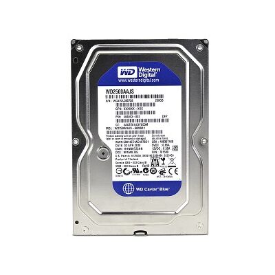 WD 250 WD2500AAJS Server x.by
