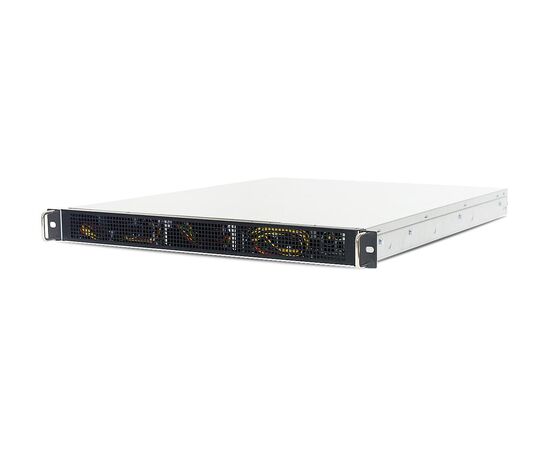 Серверная платформа AIC HP101-AG XP1-P101AGXX, фото 