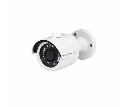 IP-камера EverFocus EZN-1840-A15, фото 