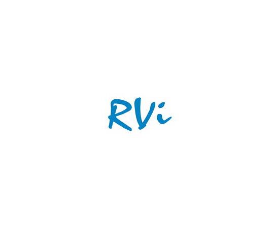 Опция для видеонаблюдения RVi Клипса удлиненная для RVi-BR750, фото 