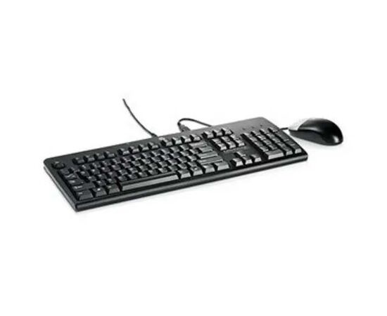 Комплект клавиатура HP USB Keyboard и мышь HP Optical Mouse Kit Russian (638214-B21), фото 