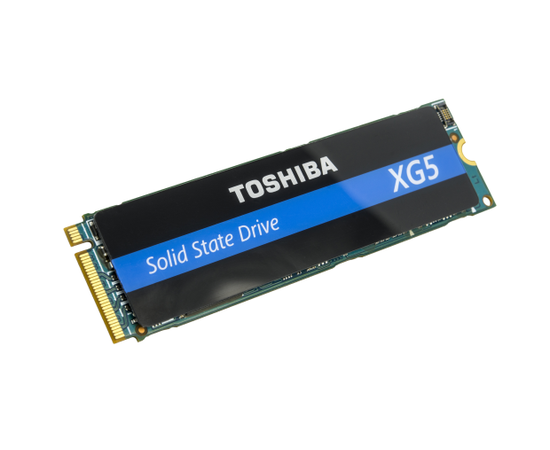 SSD диск для сервера Kioxia/Toshiba XG5 256GB NVMe M.2 KXG50ZNV256G, фото 