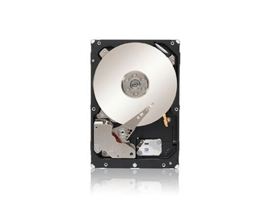 Жесткий диск для сервера Seagate 1ТБ SAS 3.5" 7200 об/мин, 12 Gb/s, ST1000NM0005, фото 