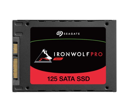 SSD диск SEAGATE ZA1920NX1A001 Ironwolf Pro 125 1.92TB SATA 6Gbps, фото 