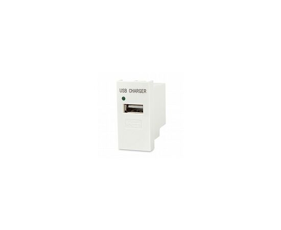 Hyperline M45/2-USBCH1-WH Модуль розетки USB для зарядки, фото 