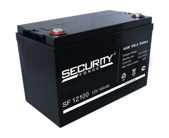 Аккумулятор Security Force SF 12100, фото 