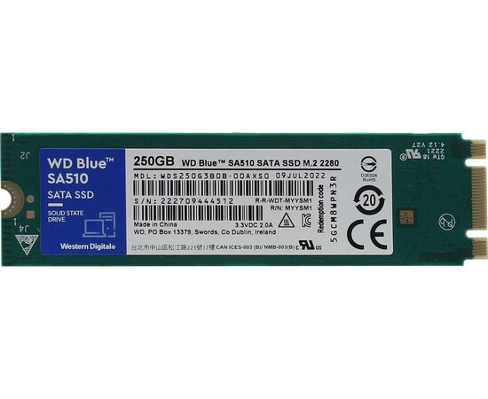 SSD диск WD Blue Client 250GB WDS250G3B0B M.2 2280, SATA 3.0, фото 